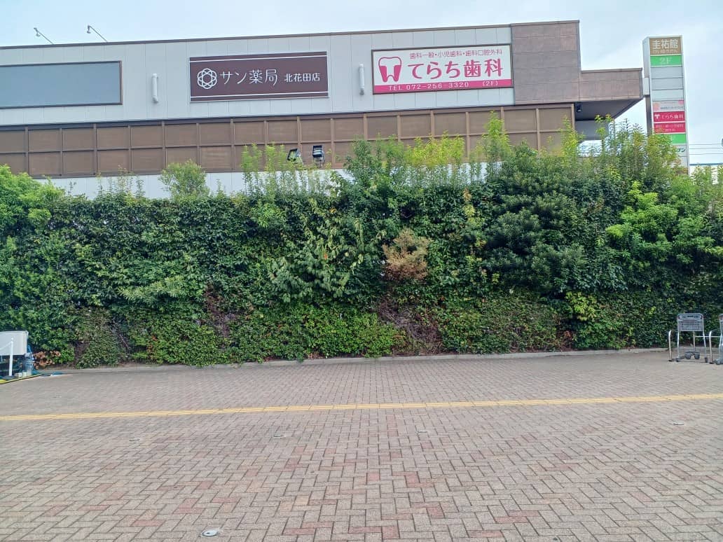 屋外広場
