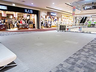 コンファームイルズ前
