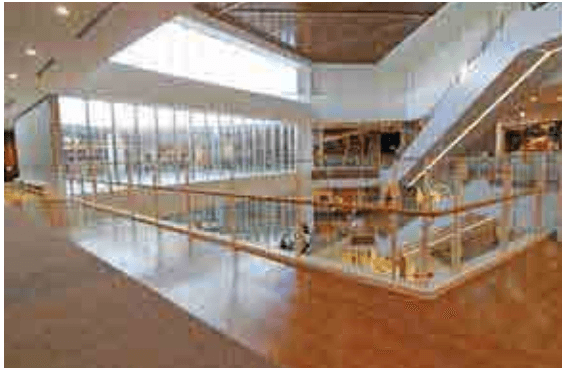 4F ネイチャーブリッジ2