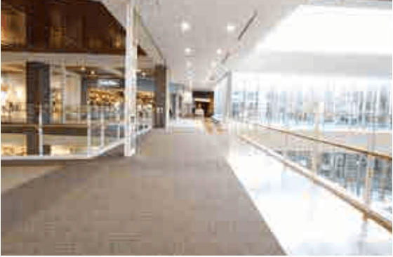 4F ネイチャーブリッジ1