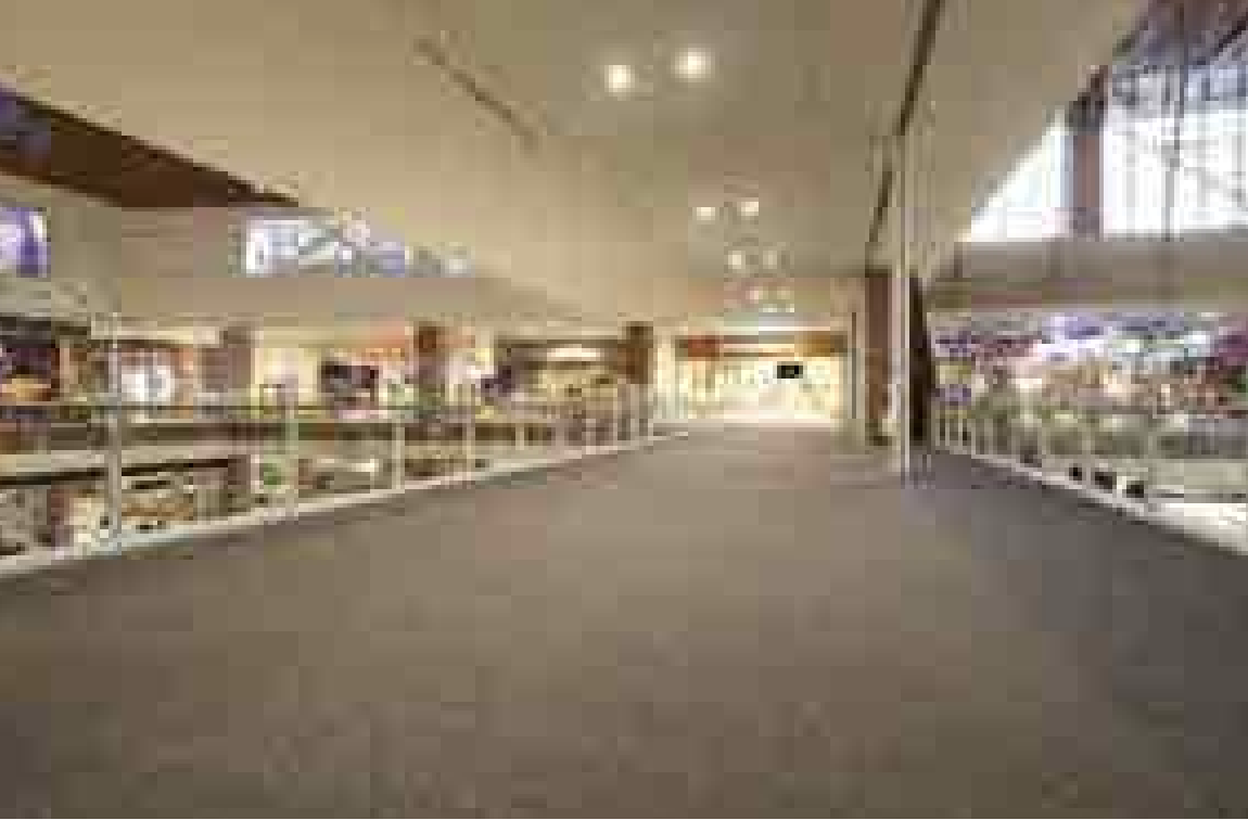 4F 大型ビジョン前ブリッジ2