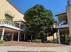 1F 湧き水の広場