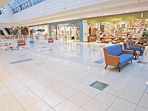 ⑧ノースブリッジ