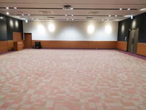 イオンホール