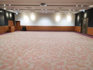 イオンホール