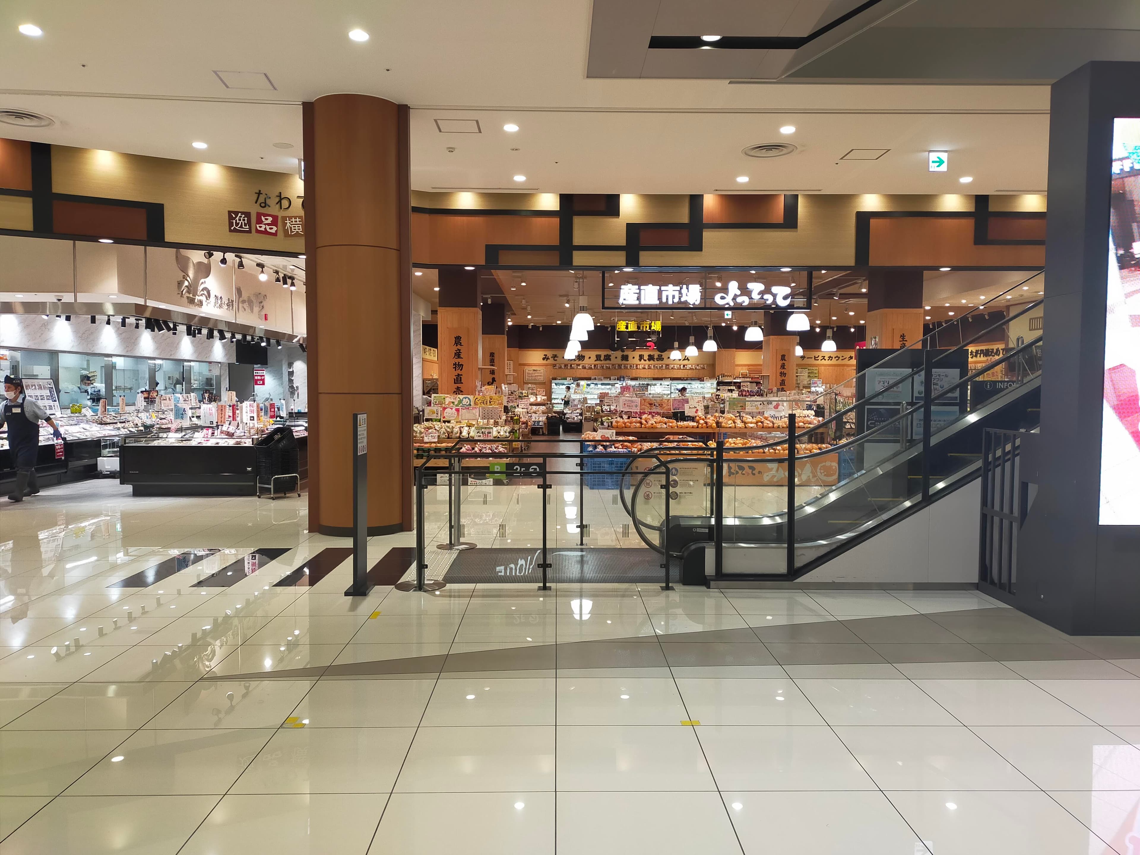 風のコート(小)1