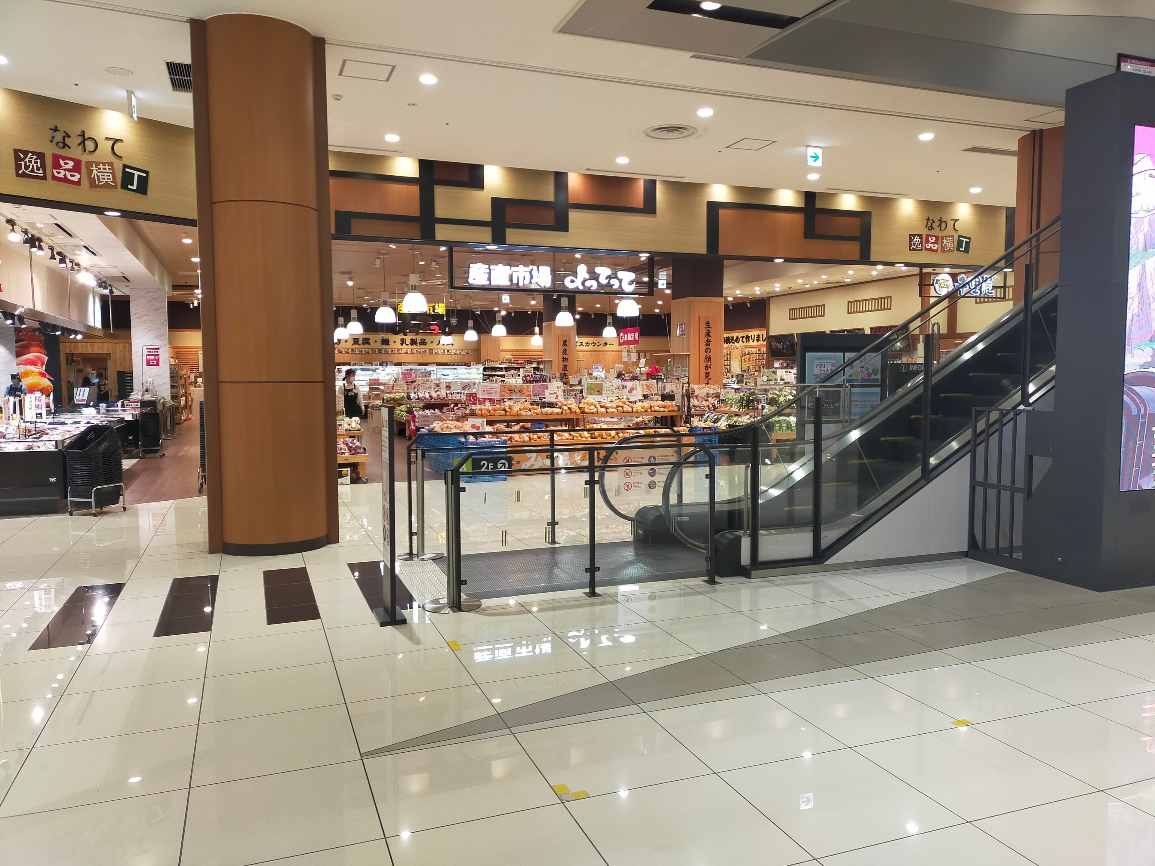 風のコート(小)2